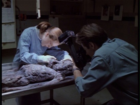 X-Files - Intégrale DVD (S01E01 : Pilot / Nous ne sommes pas seuls)