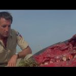 Les Dents de la mer 2 (Jaws 2) - Capture Blu-ray