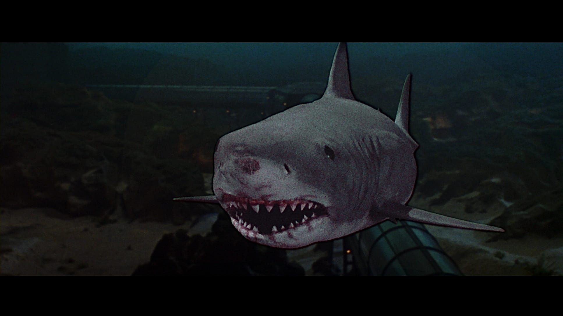 Les Dents de la mer 4-La Revanche Blu-Ray