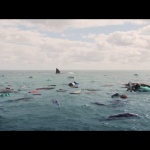 En eaux troubles (2018) de Jon Turteltaub – Capture Blu-ray