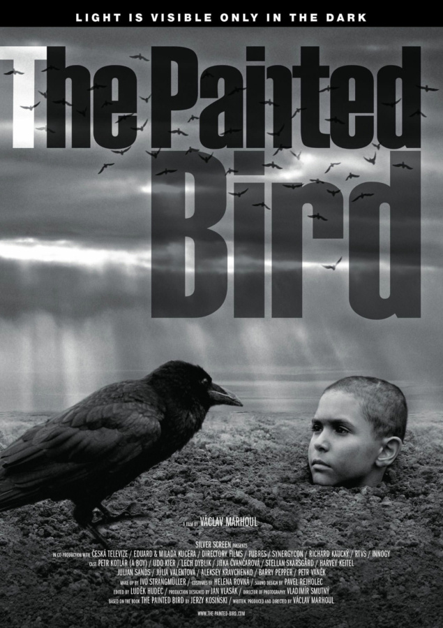 The Painted Bird - Affiche